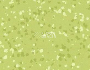 Линолеум Gerflor Taralay Premium Brazilia 8577 Amazonas фото 1 | FLOORDEALER
